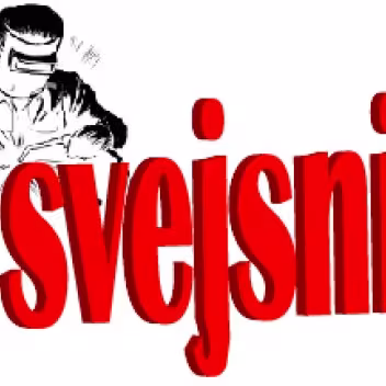 mjsvejsning